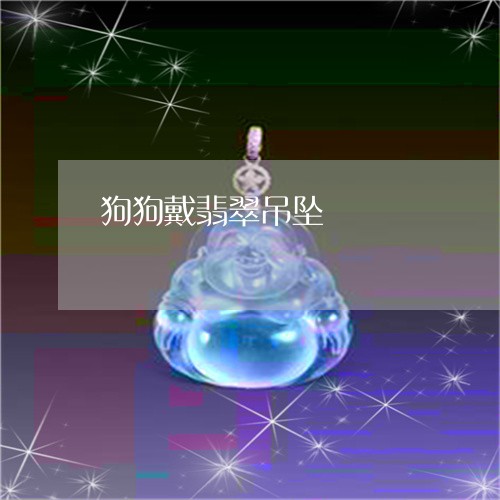 狗狗戴翡翠吊坠/2023033174803 狗狗戴翡翠吊坠/2023033174803