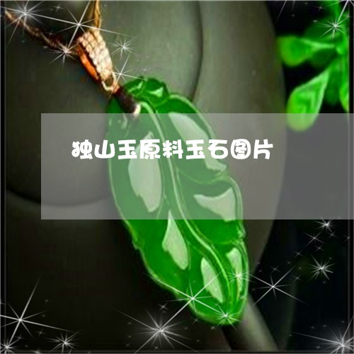 独山玉原料玉石图片/2023041450371