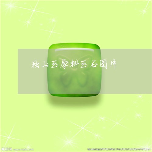 独山玉原料玉石图片/2023041465137