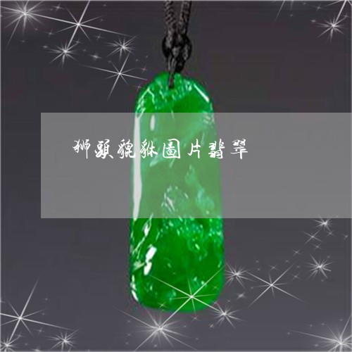狮头貔貅图片翡翠/2023031809796 狮头貔貅图片翡翠/2023031809796