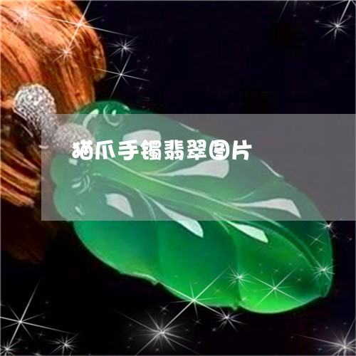 猫爪手镯翡翠图片/2023031749493 猫爪手镯翡翠图片/2023031749493