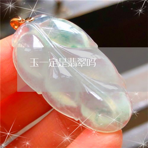 玉一定是翡翠吗/2023033117370