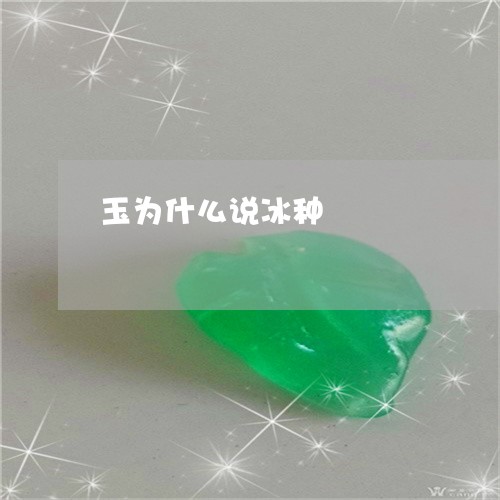 玉为什么说冰种/2023033171714 玉为什么说冰种/2023033171714