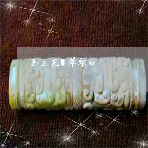 玉兰花翡翠原石/2023033128359 玉兰花翡翠原石/2023033128359