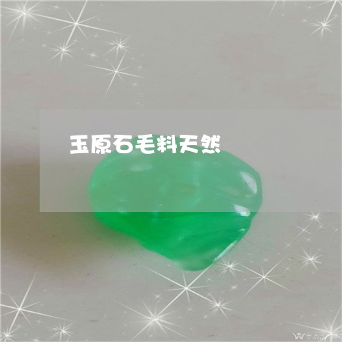 玉原石毛料天然/2023033143050 玉原石毛料天然/2023033143050
