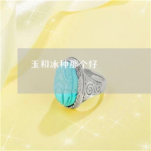 玉和冰种那个好/2023033161471