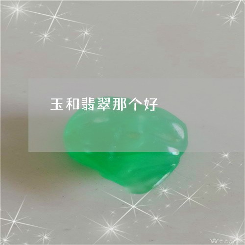 玉和翡翠那个好/2023033127047