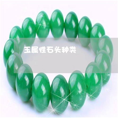 玉属性石头种类/2023033119179