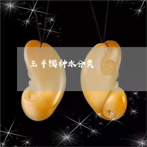 玉手镯种水分类/2023033191894 玉手镯种水分类/2023033191894