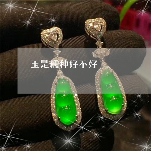玉是糯种好不好/2023033162506 玉是糯种好不好/2023033162506