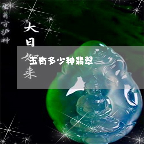 玉有多少种翡翠/2023033193837 玉有多少种翡翠/2023033193837