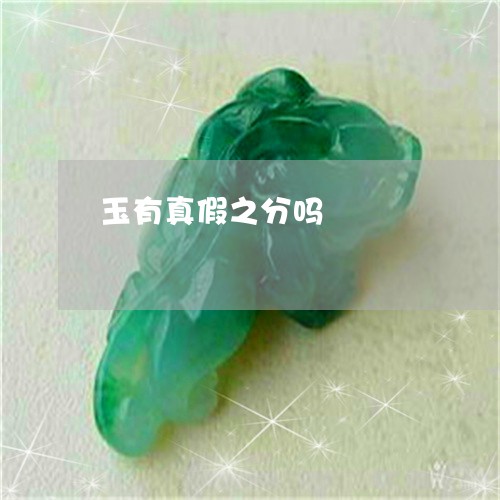 玉有真假之分吗/2023033188281 玉有真假之分吗/2023033188281