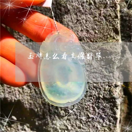 玉牌怎么看真假翡翠/2023041458369