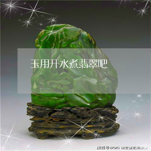 玉用开水煮翡翠吧/2023031773048