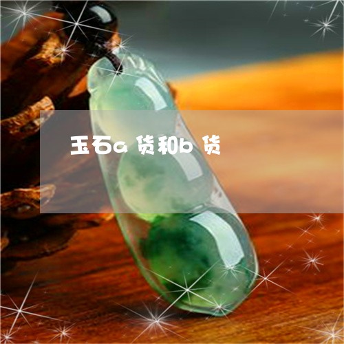 玉石a货和b货/2023033148292