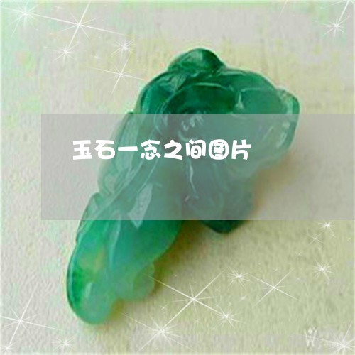 玉石一念之间图片/2023031758491