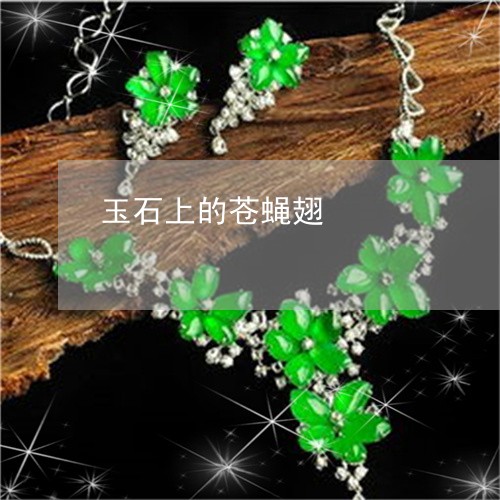 玉石上的苍蝇翅/2023033174047