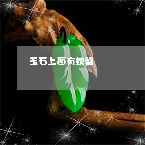 玉石上面有螃蟹/2023033151392