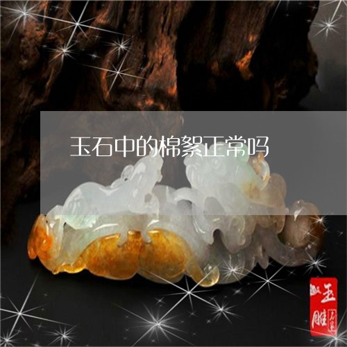 玉石中的棉絮正常吗/2023041517057