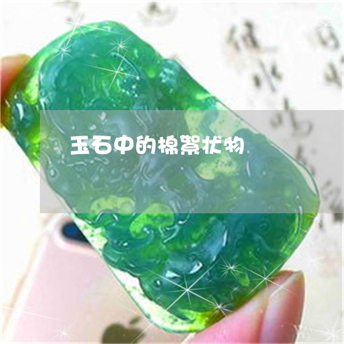 玉石中的棉絮状物/2023031737402