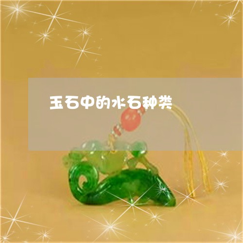 玉石中的水石种类/2023031738394