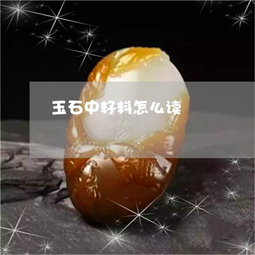 玉石中籽料怎么读/2023031716149 玉石中籽料怎么读/2023031716149