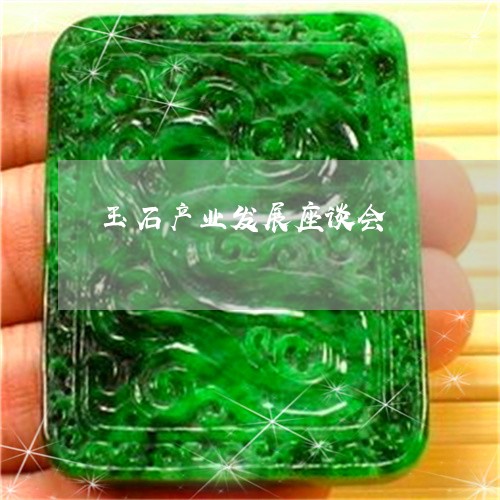 玉石产业发展座谈会/2023041563037 玉石产业发展座谈会/2023041563037