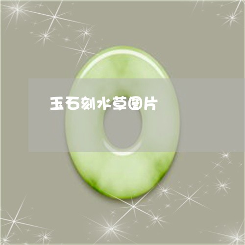 玉石刻水草图片/2023033139472