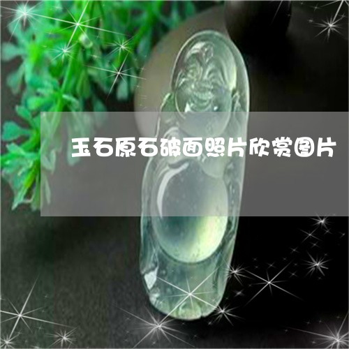 玉石原石破面照片欣赏图片/2023071140270