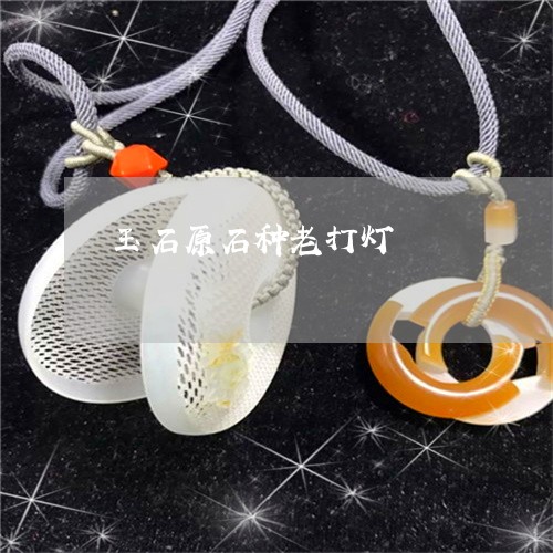 玉石原石种老打灯/2023031915362