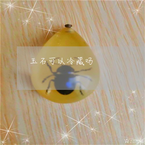 玉石可以冷藏吗/2023033119259 玉石可以冷藏吗/2023033119259