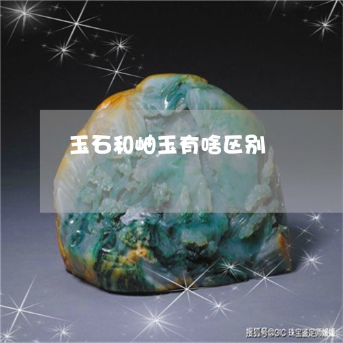 玉石和岫玉有啥区别/2023041416948