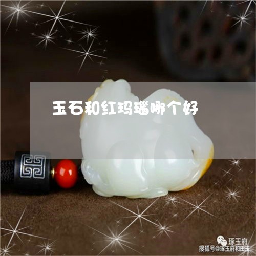 玉石和红玛瑙哪个好/2023041436169