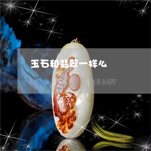 玉石和翡翠一样么/2023031861485