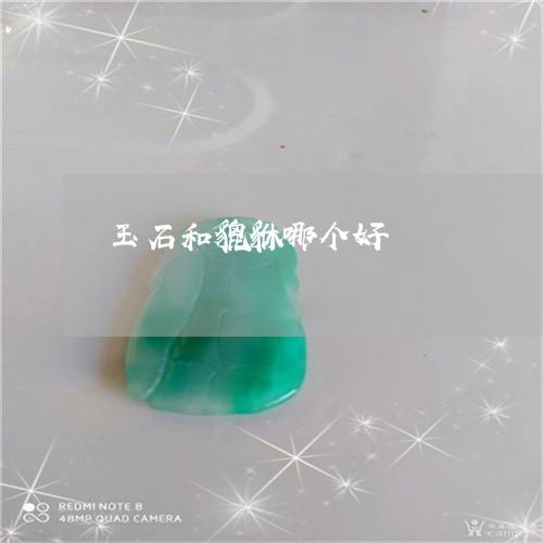 玉石和貔貅哪个好/2023031860615 玉石和貔貅哪个好/2023031860615