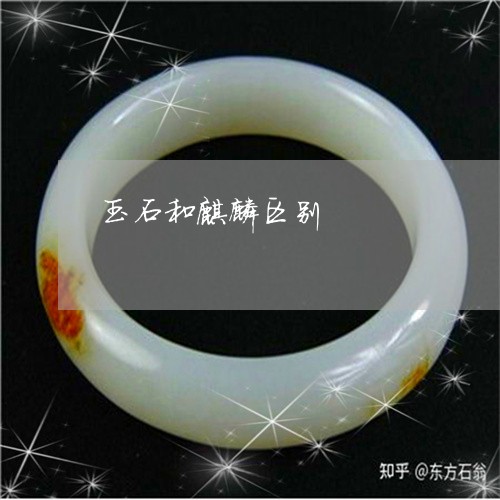 玉石和麒麟区别/2023033038260