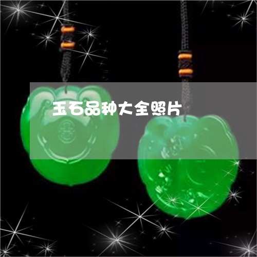 玉石品种大全照片/2023031831603 玉石品种大全照片/2023031831603