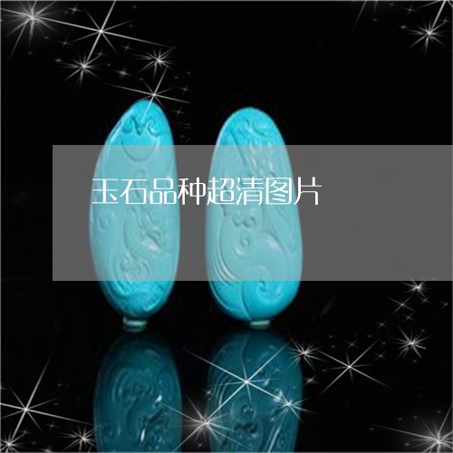 玉石品种超清图片/2023031840582 玉石品种超清图片/2023031840582