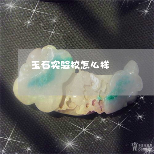 玉石实验校怎么样/2023031783049 玉石实验校怎么样/2023031783049