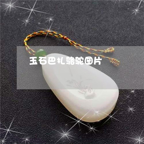 玉石巴扎骆驼图片/2023011648390