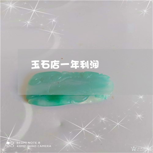 玉石店一年利润/2023033060593 玉石店一年利润/2023033060593