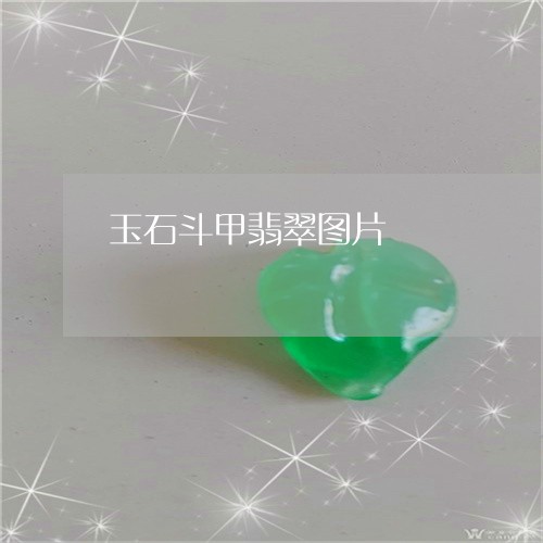 玉石斗甲翡翠图片/2023011687271
