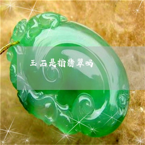 玉石是指翡翠吗/2023033163604 玉石是指翡翠吗/2023033163604