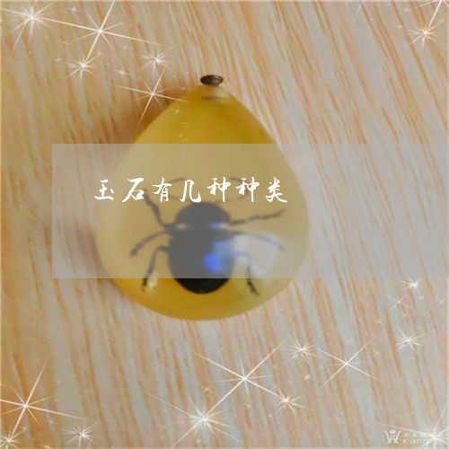玉石有几种种类/2023033150382