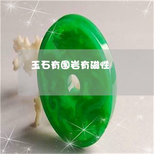 玉石有围岩有磁性/2023031839392 玉石有围岩有磁性/2023031839392