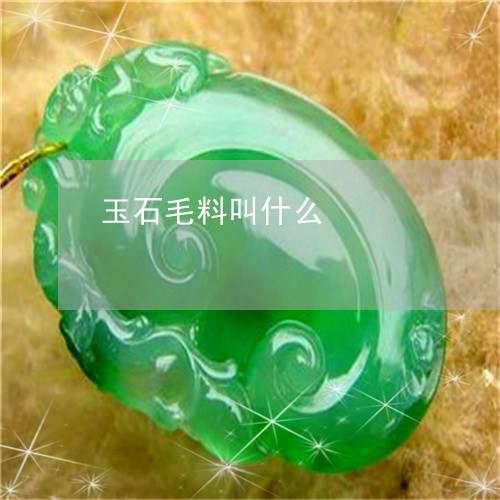 玉石毛料叫什么/2023033183715 玉石毛料叫什么/2023033183715