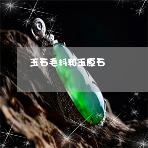 玉石毛料和玉原石/2023031875948 玉石毛料和玉原石/2023031875948