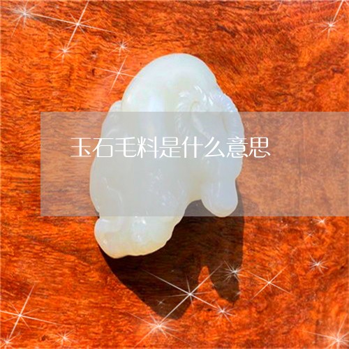 玉石毛料是什么意思/2023041437249