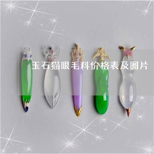 玉石猫眼毛料价格表及图片/2023061932825