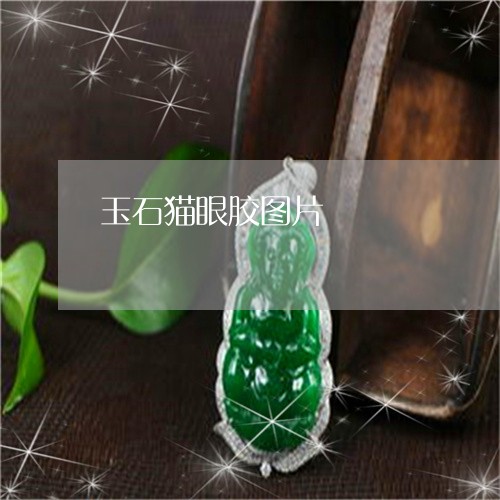 玉石猫眼胶图片/2023033018058